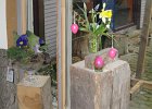 Schaufenster, Laden